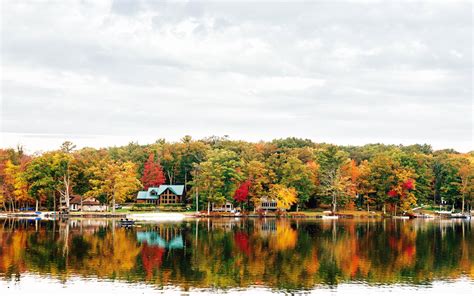 Wallpaper Trees Landscape Lake Water Reflection Pond Tree