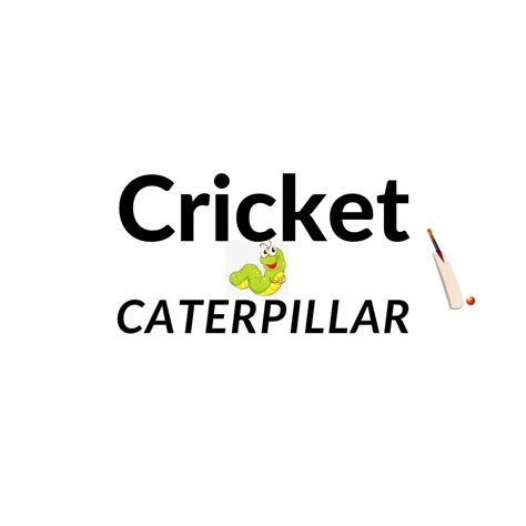 Cricket Caterpillar