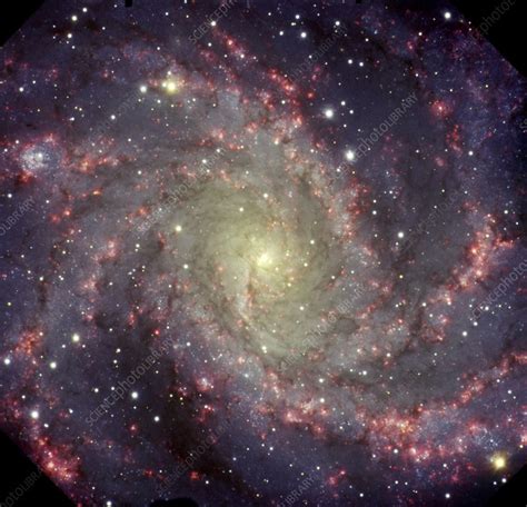 Spiral Galaxy Ngc 6946 Stock Image R8200440 Science Photo Library
