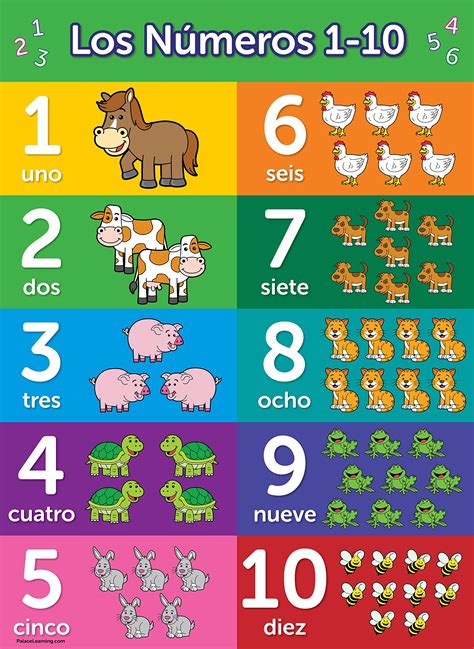 Buy Numbers 1 10 Spanish Laminated Español Números Uno A Diez