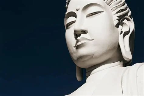 Some Interesting Facts About Buddhism Buddhism And Science For Life