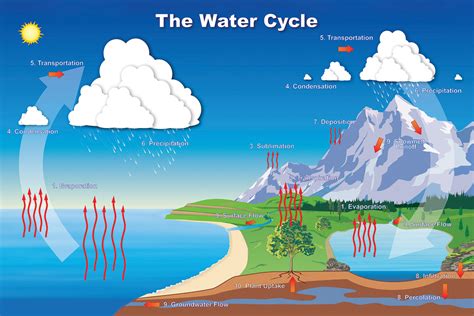 Images Of Water Cycle