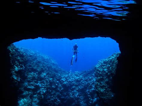 Freedive Mariners Cave Tonga South Pacific