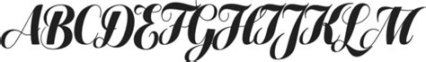 Lilith Script Pro Narrow Black Otf 900 Font What Font Is