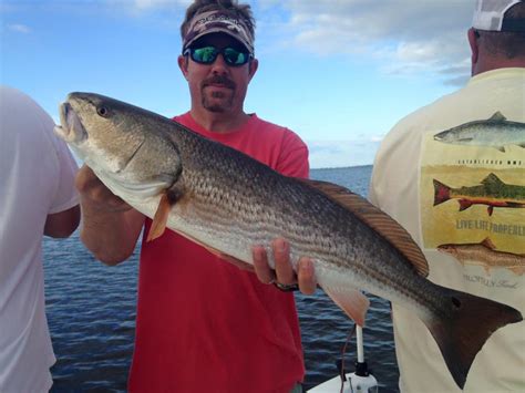 Lots Of Big Redfish Today At Cape San Blas Perfect Cast Charters
