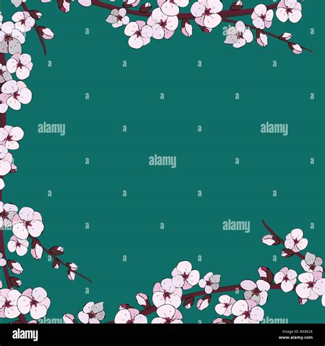 Cherry Blossom Sakura Flowers Easily Editable Vector Image Stock