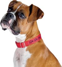 Here are a few formulas that provide a healthy and balanced diet for your boxer. Top 5 Best Puppy Foods for Boxers | Avid Pup