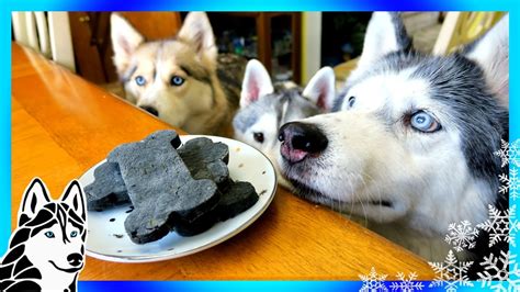 Working with people who understand rehabilitation is an added bonus for recover. DIY DENTAL DOG TREATS | DIY Dog Treats | Snow Dogs Snacks ...