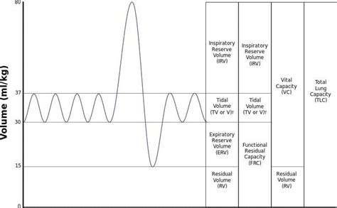 Spirometry • Litfl• Ccc