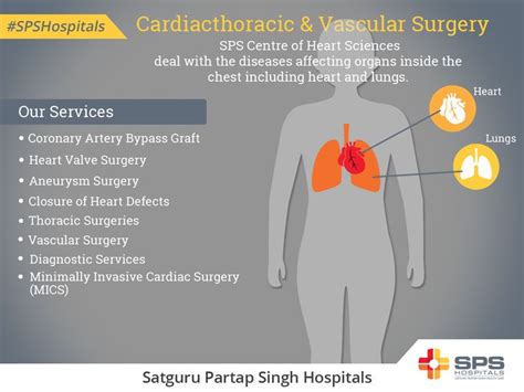 Cardiacthoracic And Vascular Surgery The Department Of