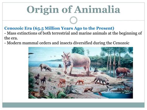 We did not find results for: PPT - Kingdom Animalia PowerPoint Presentation, free ...