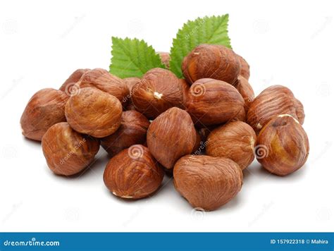 Group Of Hazelnuts With Green Leaves Isolated Stock Photo Image Of
