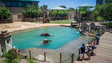 Mcnair Elephant Habitat Area The Houston Zoo