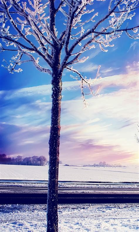 Download Winter Wallpapers Hd For Smartphone