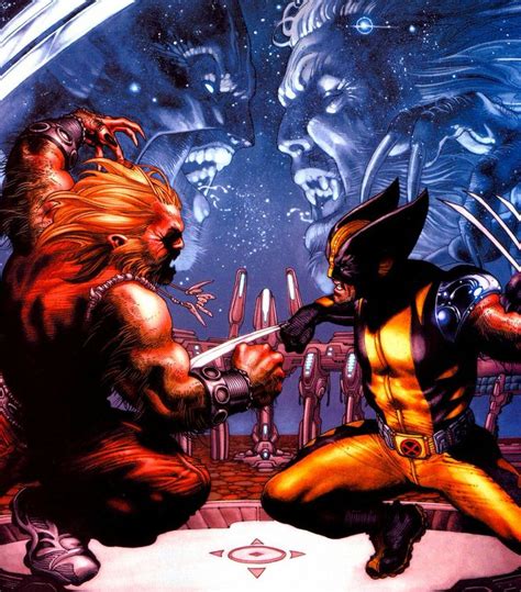 Wolverine Vs Sabretooth Wolverine Graphic Novel Comics