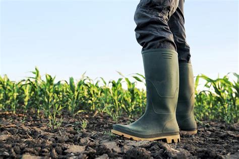 Maybe you would like to learn more about one of these? AXA holds 5% share of farm insurance market 26 September 2018 Premium