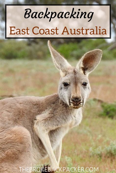 in this detailed travel guide for backpacking east coast australia we ve covered all of the