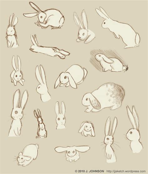 Rabbit Language Rabbit Drawing Bunny Sketches Bunny Drawing