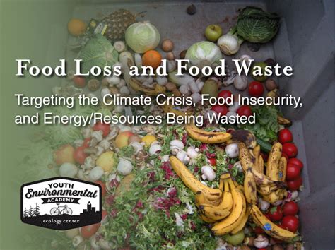 Food Loss And Food Waste Ecology Center