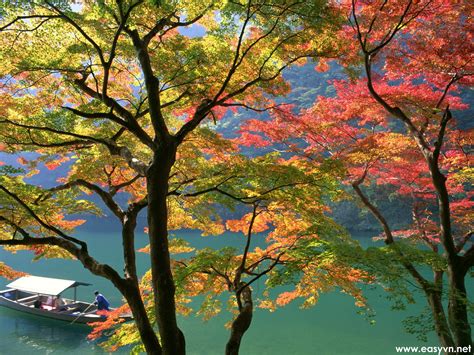Nature Scenery Beautiful Nature Pictures Of Japan