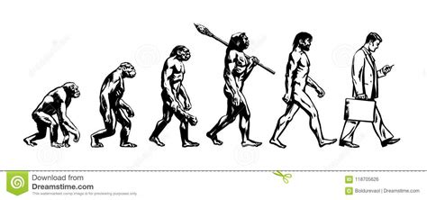 进化论人的 向量例证 插画 包括有 炭疽病 投反对票 查出 图象 达尔文 大主教 猴子 例证 118705626
