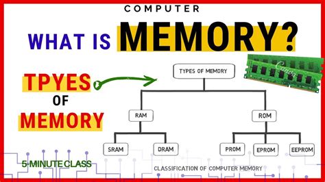 Memory And Types Of Memory اردو हिंदी Youtube