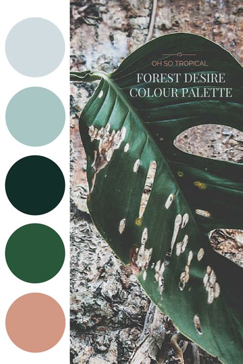 Maybe you would like to learn more about one of these? Forest Desire Palette - Oh So Tropical Could use this ...