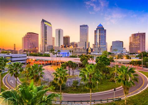 Best Things To Do In Tampa Florida In Only A Few Days