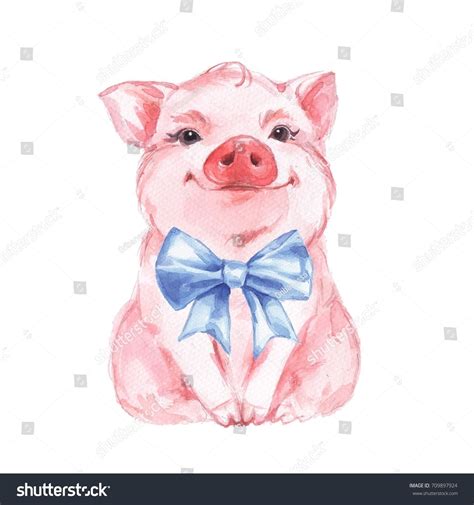 Funny Pig And Blue Bow Isolated On White Cute Watercolor Illustration