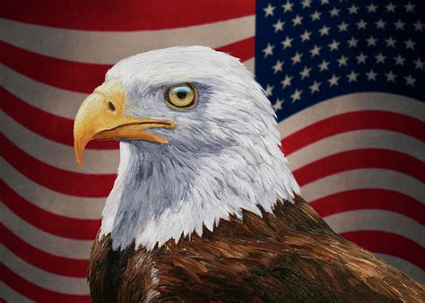 Patriotic Bald Eagle And American Flag Painting By Crista Forest Pixels