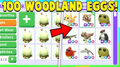 We Opened 100 New Woodland Eggs In Adopt Me Youtube
