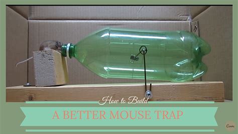 How To Build A Better And More Humane Mouse Trap Video Alltop Viral