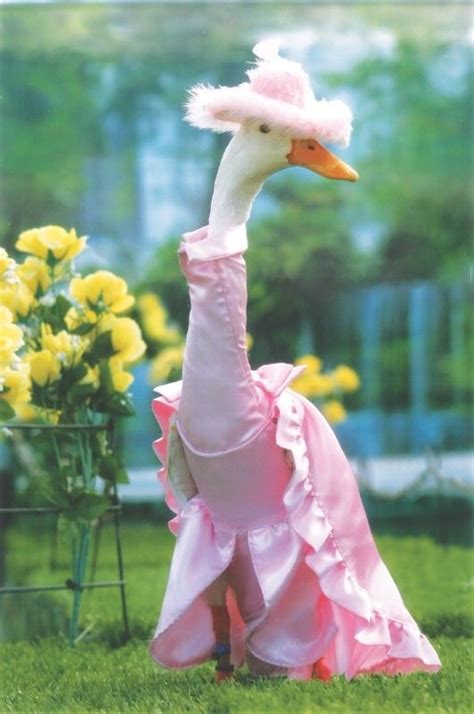 The best time to get your ducklings in would be from april. Farmer Hires Dressmaker To Style His Ducks In Fanciful ...