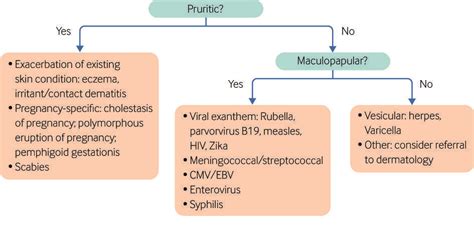 A Suspected Viral Rash In Pregnancy The Bmj