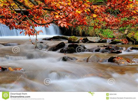 Autumn Forest Waterfall Stock Image Image Of Flow Flowing 59341349