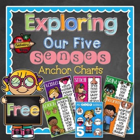 senses anchor charts senses preschool anchor charts