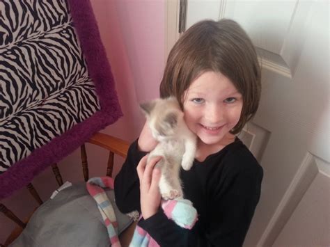 Finally Broke Down And Let My 6 Year Old Get A Cat I Am Sure I Will Regret This R Aww