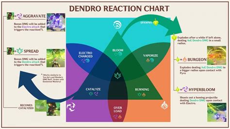Genshin Impact All Dendro Elemental Reactions Explained
