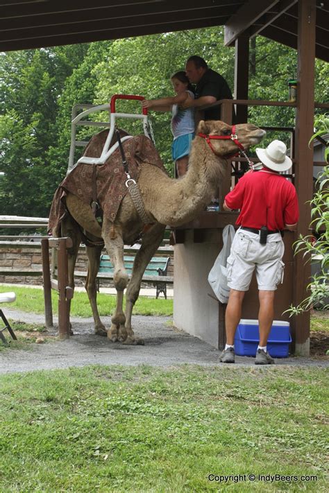 Parking at the philadelphia zoo there are multiple parking lots that are part of the zoo's campus. Brew at the Zoo in Baltimore MD | Independent Beers