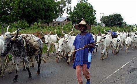 How Climate Change Is Provoking Clashes Between Herdsmen And Farmers In
