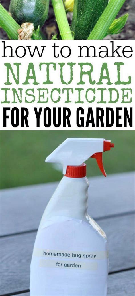 Learn How To Make All Natural Pesticide For Your Garden Homemade