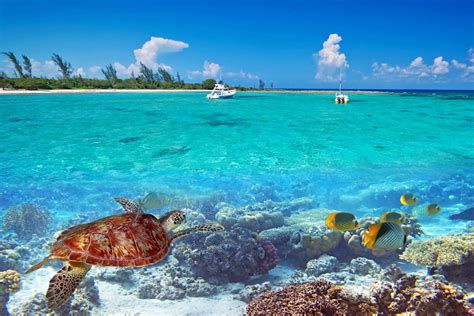 Download Picture Perfect Beach Getaway Wallpaper | Wallpapers.com