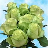 Cheap Green Flowers Images