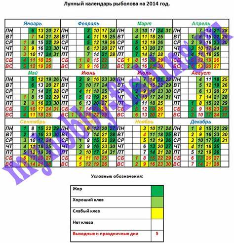 Лунный календарь похудеть