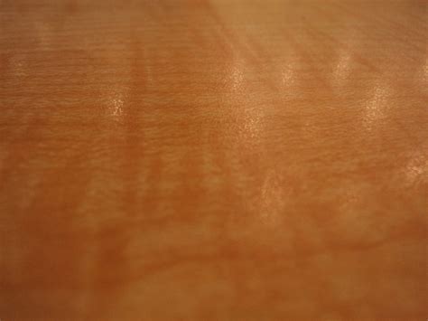 Tan Background Free Stock Photo Public Domain Pictures