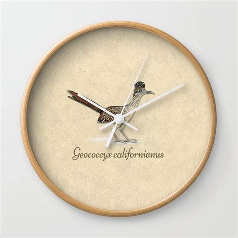 Greater Roadrunner Illustration Wall Clock By Bwiselizzy Society6