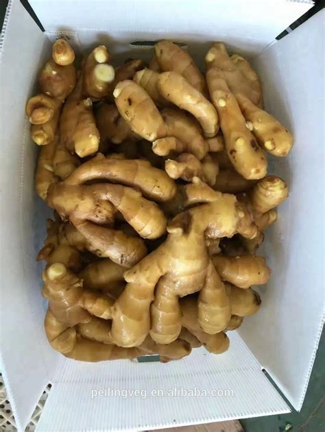 new crop fresh ginger 100g 150g 200g 250g 300g china ginger supplier buy china ginger fresh