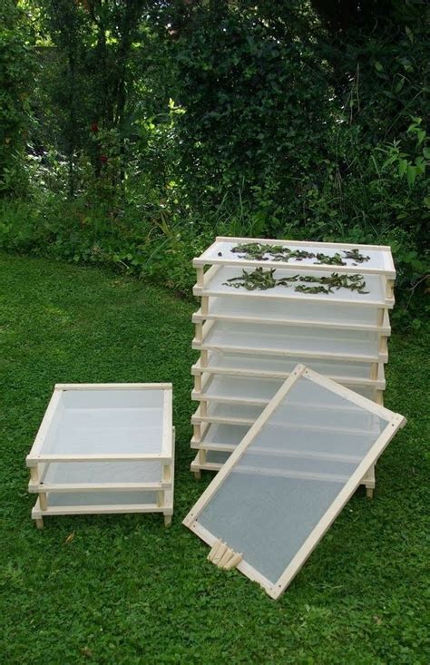 Diy Solar Dehydrators For Home Food Preservation Artofit