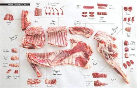 Carnes De Primeira Segunda E Terceira