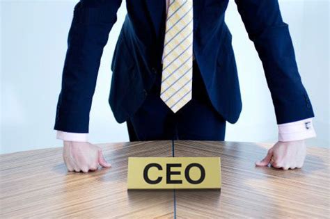 When brian and i were appointed to our current roles, i knew then that being the leader of a company was something that i desired as part of my own leadership journey. All CEOs should be an outside director for one company ...